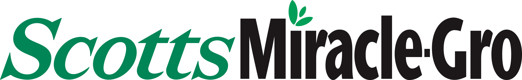Smg Logo Lg